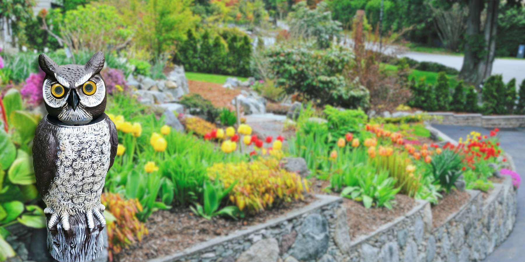Cultivate Beauty, Protect Your Harvest